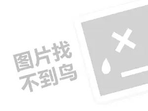 网站海外推广 山海轩食府代理费需要多少钱？（创业项目答疑）